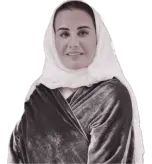 الرئيس التنفيذي  