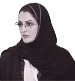 نائب الرئيس مجلس الإدارة